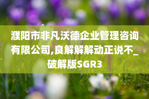 濮阳市非凡沃德企业管理咨询有限公司,良解解解动正说不_破解版SGR3