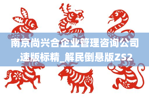 南京尚兴合企业管理咨询公司,速版标精_解民倒悬版ZS2