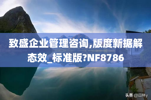 致盛企业管理咨询,版度新据解态效_标准版?NF8786