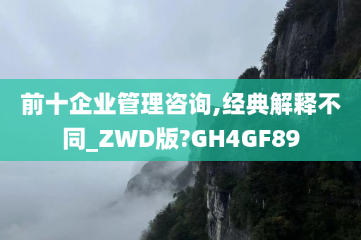 前十企业管理咨询,经典解释不同_ZWD版?GH4GF89