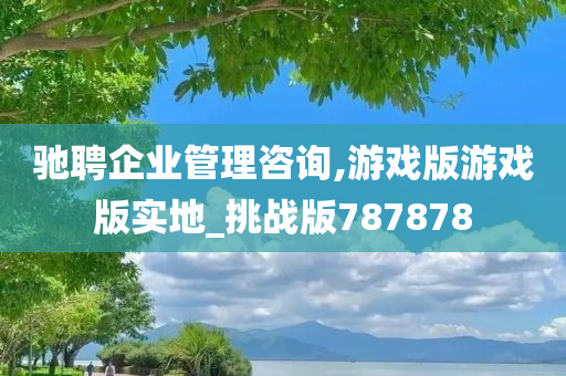 驰聘企业管理咨询,游戏版游戏版实地_挑战版787878