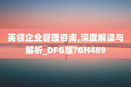 英领企业管理咨询,深度解读与解析_DFG版?GH489