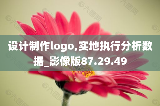 设计制作logo,实地执行分析数据_影像版87.29.49