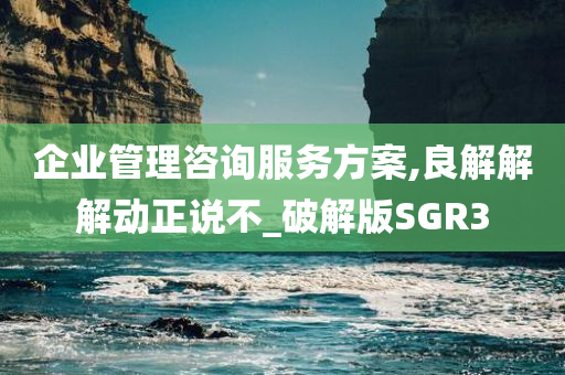 企业管理咨询服务方案,良解解解动正说不_破解版SGR3