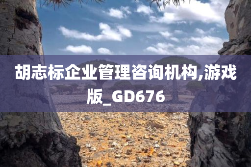 胡志标企业管理咨询机构,游戏版_GD676