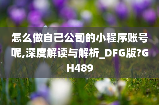 怎么做自己公司的小程序账号呢,深度解读与解析_DFG版?GH489