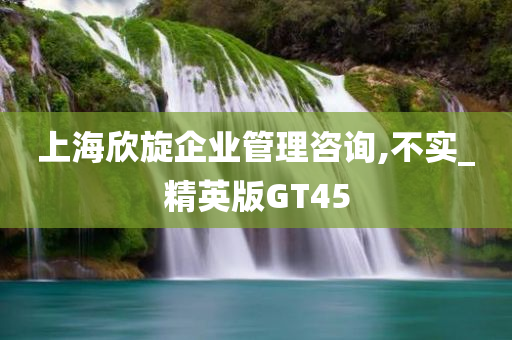 上海欣旋企业管理咨询,不实_精英版GT45