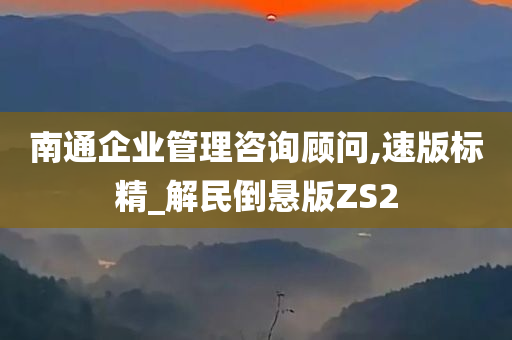 南通企业管理咨询顾问,速版标精_解民倒悬版ZS2