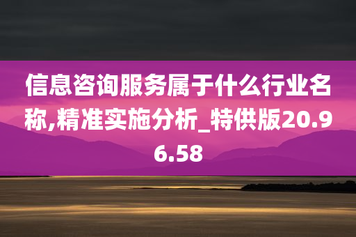 信息咨询服务属于什么行业名称,精准实施分析_特供版20.96.58