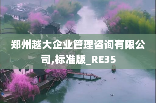 郑州越大企业管理咨询有限公司,标准版_RE35