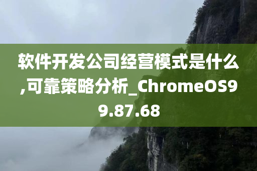 软件开发公司经营模式是什么,可靠策略分析_ChromeOS99.87.68