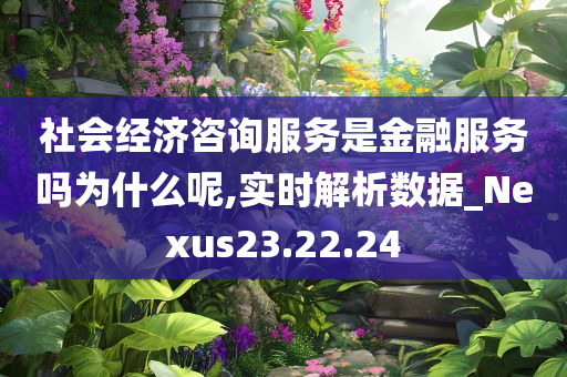 社会经济咨询服务是金融服务吗为什么呢,实时解析数据_Nexus23.22.24