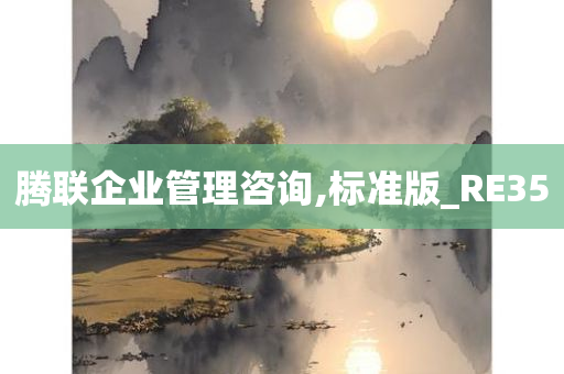 腾联企业管理咨询,标准版_RE35