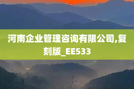 河南企业管理咨询有限公司,复刻版_EE533