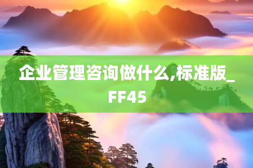 企业管理咨询做什么,标准版_FF45