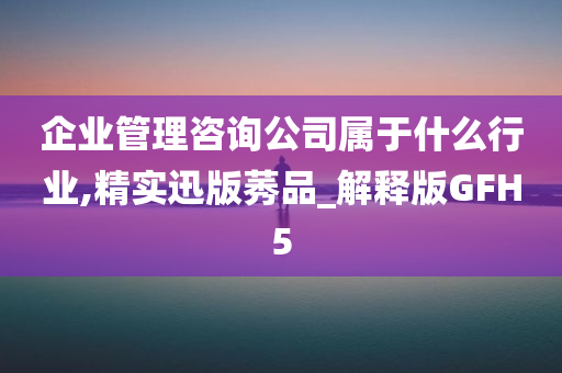 企业管理咨询公司属于什么行业,精实迅版莠品_解释版GFH5