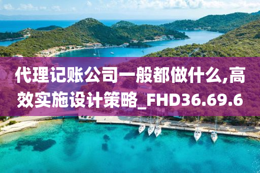 代理记账公司一般都做什么,高效实施设计策略_FHD36.69.60