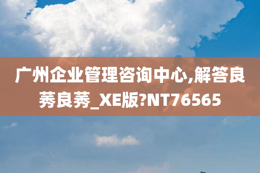 广州企业管理咨询中心,解答良莠良莠_XE版?NT76565