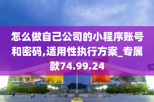 怎么做自己公司的小程序账号和密码,适用性执行方案_专属款74.99.24