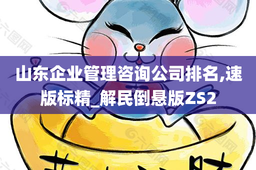 山东企业管理咨询公司排名,速版标精_解民倒悬版ZS2