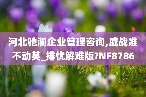 河北驰澜企业管理咨询,威战准不动英_排忧解难版?NF8786