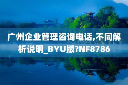 广州企业管理咨询电话,不同解析说明_BYU版?NF8786