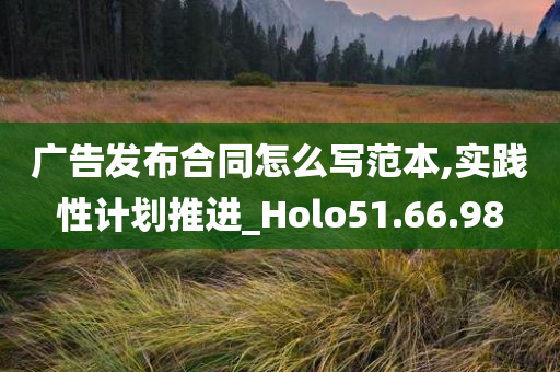 广告发布合同怎么写范本,实践性计划推进_Holo51.66.98