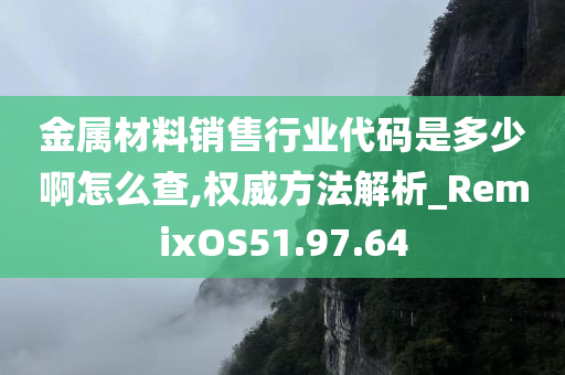 金属材料销售行业代码是多少啊怎么查,权威方法解析_RemixOS51.97.64