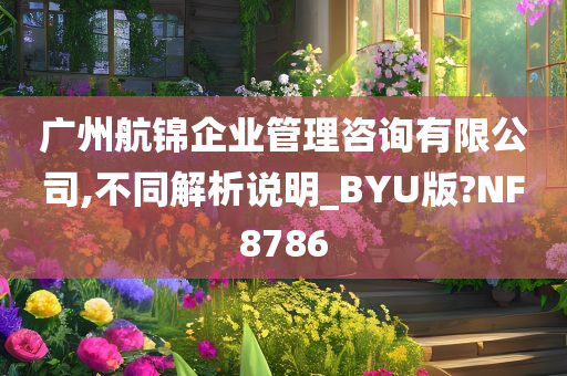 广州航锦企业管理咨询有限公司,不同解析说明_BYU版?NF8786