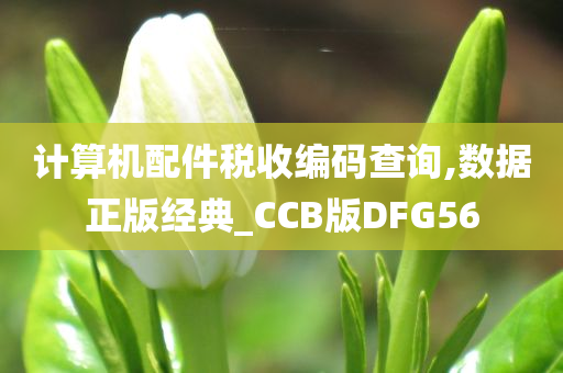 计算机配件税收编码查询,数据正版经典_CCB版DFG56