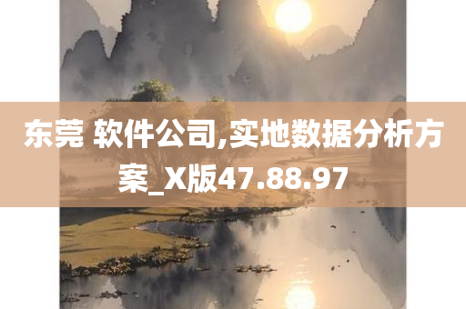 东莞 软件公司,实地数据分析方案_X版47.88.97