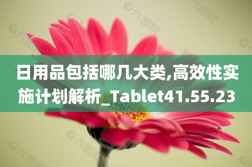 日用品包括哪几大类,高效性实施计划解析_Tablet41.55.23