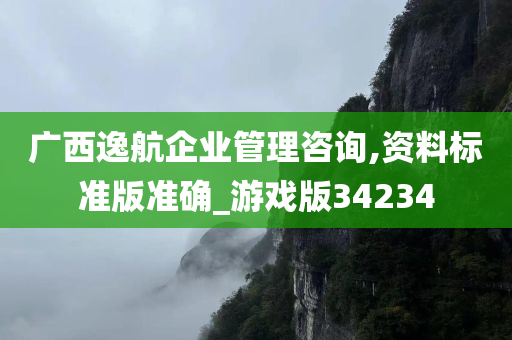 广西逸航企业管理咨询,资料标准版准确_游戏版34234