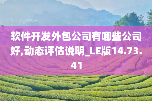 软件开发外包公司有哪些公司好,动态评估说明_LE版14.73.41