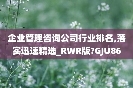 企业管理咨询公司行业排名,落实迅速精选_RWR版?GJU86