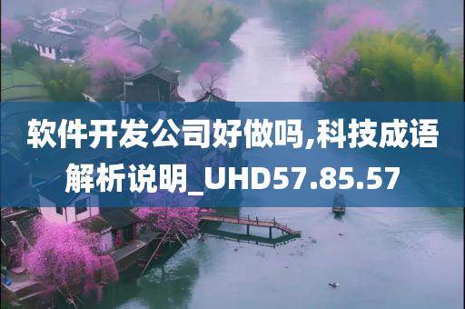 软件开发公司好做吗,科技成语解析说明_UHD57.85.57