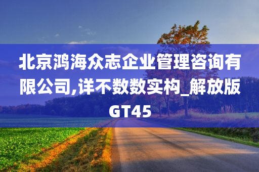 北京鸿海众志企业管理咨询有限公司,详不数数实构_解放版GT45