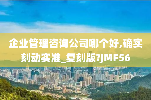 企业管理咨询公司哪个好,确实刻动实准_复刻版?JMF56