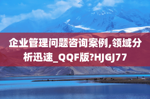 企业管理问题咨询案例,领域分析迅速_QQF版?HJGJ77