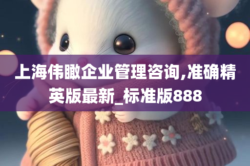 上海伟瞰企业管理咨询,准确精英版最新_标准版888