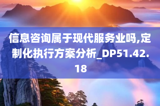 信息咨询属于现代服务业吗,定制化执行方案分析_DP51.42.18