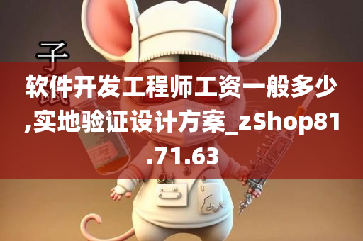 软件开发工程师工资一般多少,实地验证设计方案_zShop81.71.63