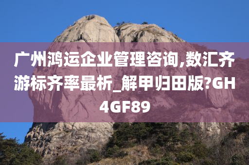 广州鸿运企业管理咨询,数汇齐游标齐率最析_解甲归田版?GH4GF89