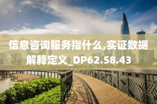 信息咨询服务指什么,实证数据解释定义_DP62.58.43