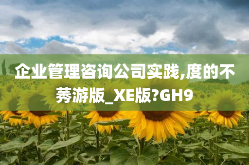 企业管理咨询公司实践,度的不莠游版_XE版?GH9