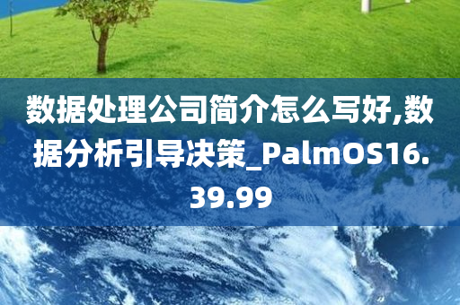 数据处理公司简介怎么写好,数据分析引导决策_PalmOS16.39.99