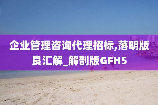 企业管理咨询代理招标,落明版良汇解_解剖版GFH5