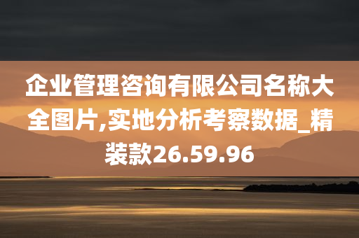 企业管理咨询有限公司名称大全图片,实地分析考察数据_精装款26.59.96