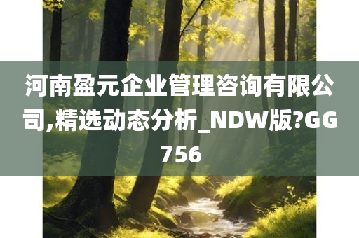 河南盈元企业管理咨询有限公司,精选动态分析_NDW版?GG756