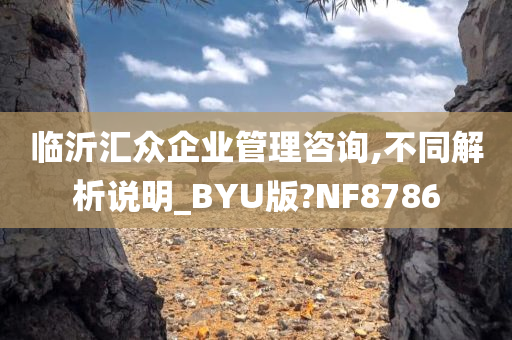 临沂汇众企业管理咨询,不同解析说明_BYU版?NF8786